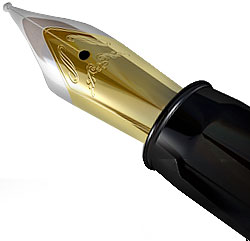 professional book writing for hire